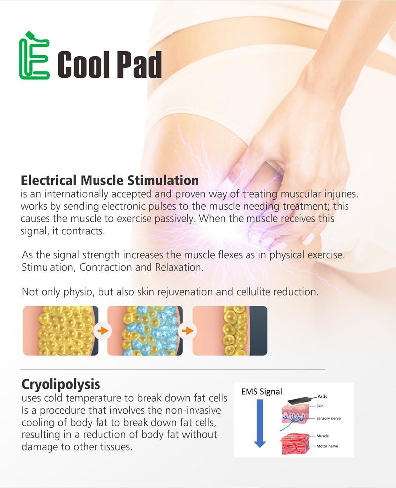 Машина Protable Cryolipolysis жирная замерзая для тела Cryo уменьшая домашнюю пользу