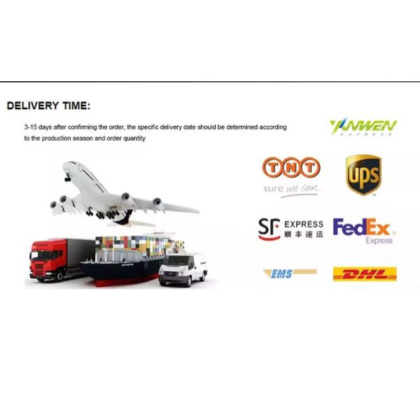 New YOUCHESHI Y8 Gold 120W 24V Cool White Light 6500K Aluminum & Brass 9000LM Universal Car Headlight LED Bulb 9005