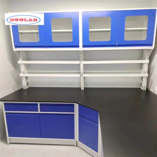 Tamaño estándar Muebles de laboratorio versátiles Casos de laboratorio para diversas aplicaciones científicas