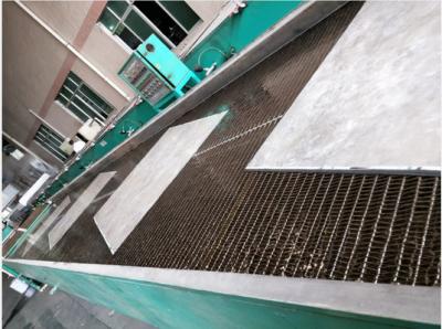 50 kg/h Nome Máquina de transferência de cinturão transportador com controle PLC