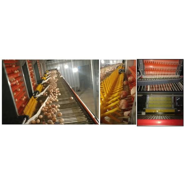 High Quality Full Automatic Poultry House Machinery with Corrosion Resistant Hot Dip Galvanised Steel and Automatic Feeding System