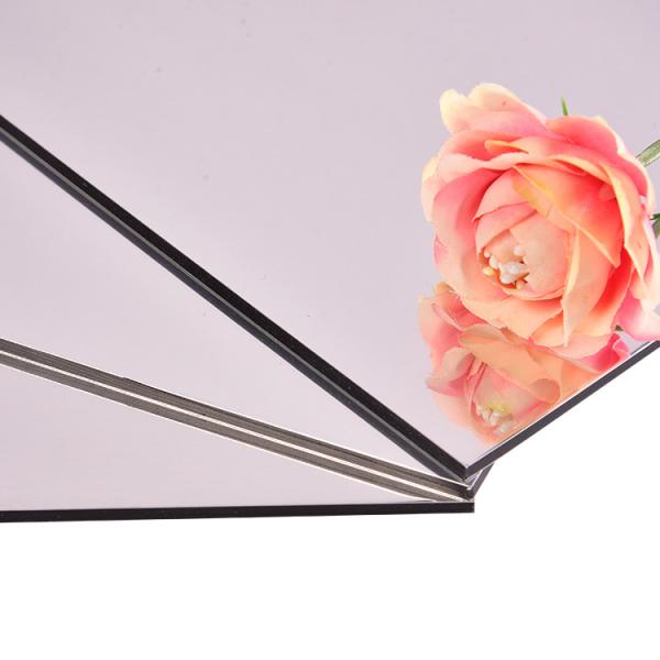 PE Construction Plastic Panel 1220mm-1575mm 3mm-6mm