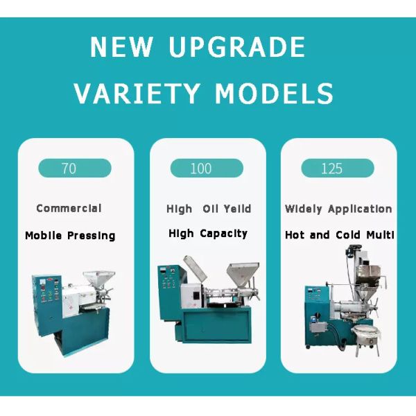 1ton/ H Olive Peanut Automatic Oil Press Machine Manufacturing Machine 6YL150