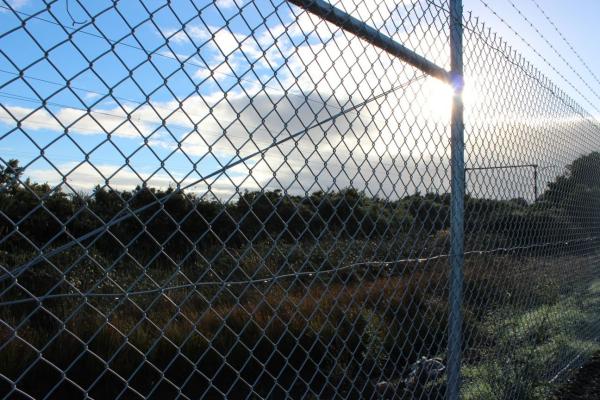 Black PVC Coated chain link fence mesh Panels/Cyclone Fence 1.8m*10m*50mm*50mm