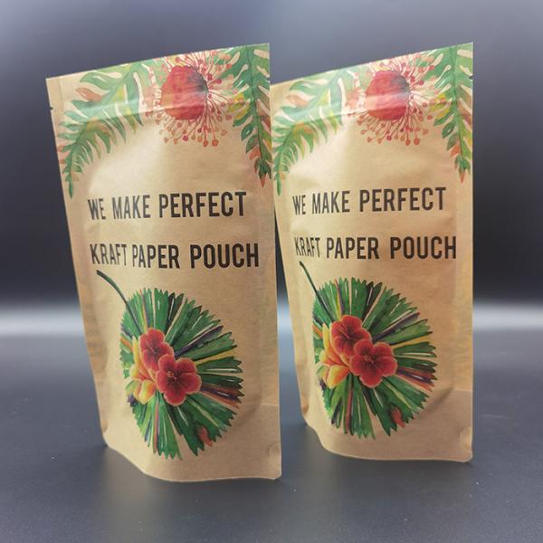 CTP Printing Compostable Packaging Bags Brown Kraft Paper Stand Up Pouch OEM