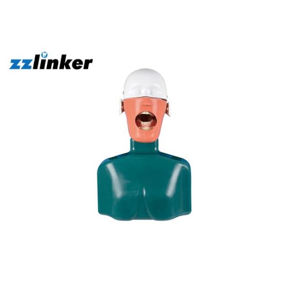 Зубоврачебная модель системы преподавательства блока имитатора фантомная главная с телом для студентов