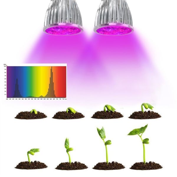 Double Head 10W led plant grow lights  , 85 - 265V led greenhouse lights