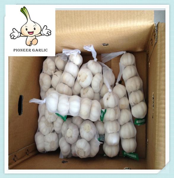 pure white garlic for exporting, fresh normal supply offer frozen fresh 5.0 cm