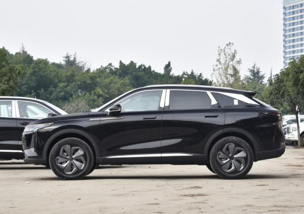 2025 競争力のある輸出 チェリー 自動車 チェリー エクセード スターラー ヤオグアン 2.0T ガソリン ガソリン 車