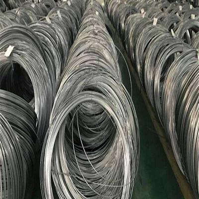 Superfície A479 brilhante elétrica da corda de fio 6mm de Spring Stainless Steel da cerca