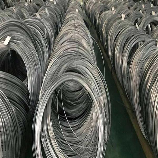 Superfície A479 brilhante elétrica da corda de fio 6mm de Spring Stainless Steel da cerca