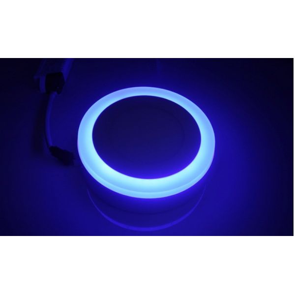 12 4W Two Round LED Surface Double Color Panel Light with Face Diameter Size of 195mm