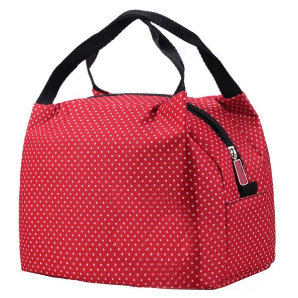 Summer Thermal Medicine 6 Can Cooler Carry Bulk Frozen Food Lightweight