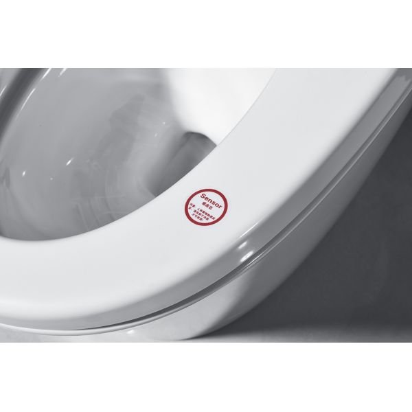 Electric Bathroom One Piece Toilet Cleaning Pressure Adjusting CE Standard