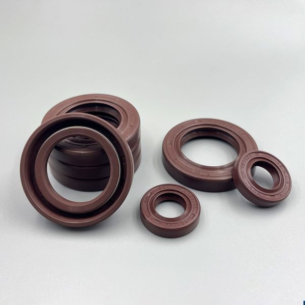Tc Skeleton Oil Seals Fluororubber Material Water-resistant High-temperature Oil Seal Gasket