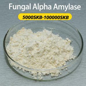 Enzyme de l'alpha-amylase fongique 5000U/G-100000U/G poudre
