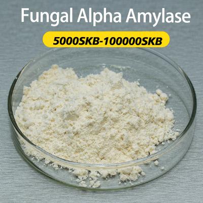 Enzyme de l'alpha-amylase fongique 5000U/G-100000U/G poudre