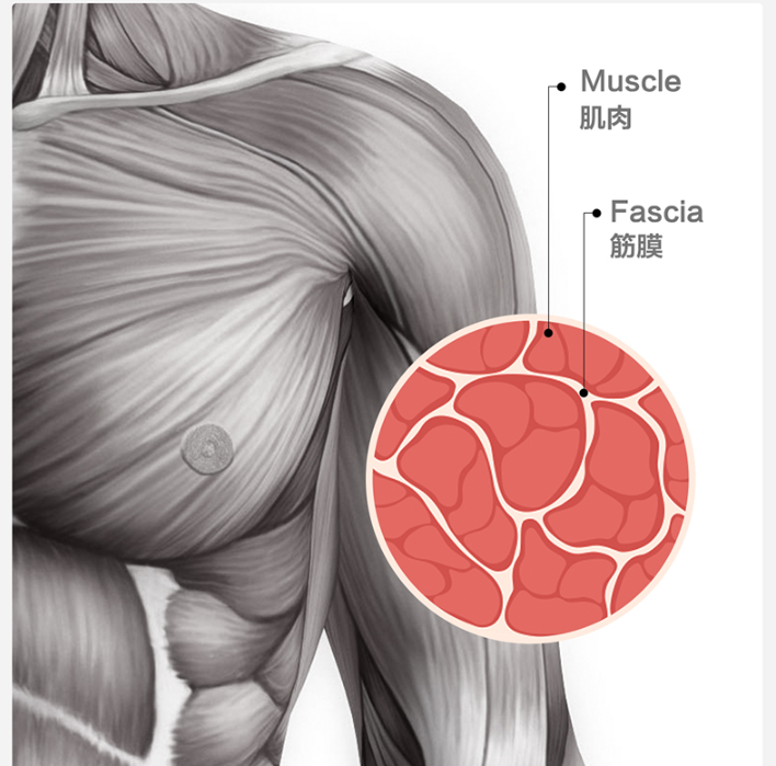 290x195x110mm Massage Gun Case , Gym Back Tool Eva Protective Case