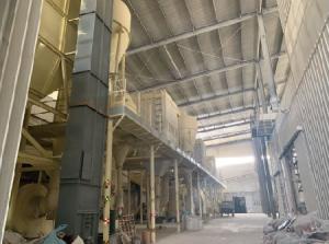 Linyi Xinghong Trading Co., Ltd