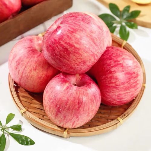 2024 Best Green Fuji Apples Fresh Product with 0.4kg Weight