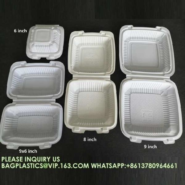 Wholesale 8 Inch Degradable Snap Button Clamshell Lunch Wrapper Bento Box Disposable Food Take Away Packaging