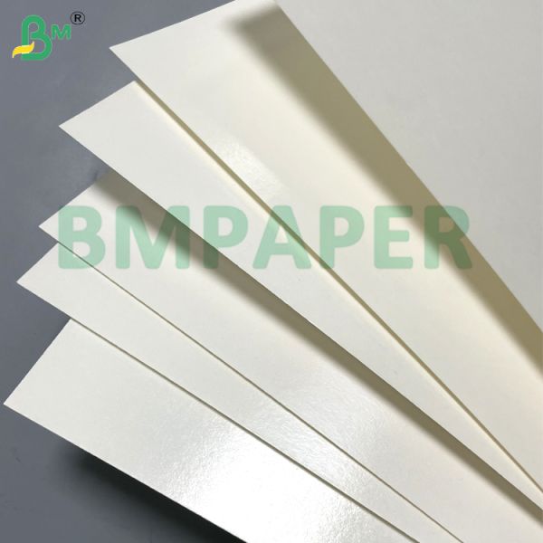260g 280g 300g Good Sealability Temperature Resistant Paper Board PET Film For Event & Catering