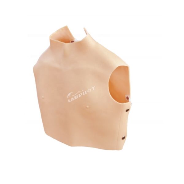 Patients Care Demonstration Cardiopulmonary Auscultation Simulator with Advanced PVC