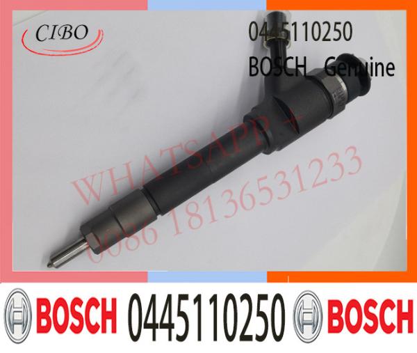 0445110250 Injecteur de carburant Bosch 0445110250 0986435123 0986435123 Pour FORD Ranger / Mazda BT-50 WLAA-13-H50 WLAA13H50