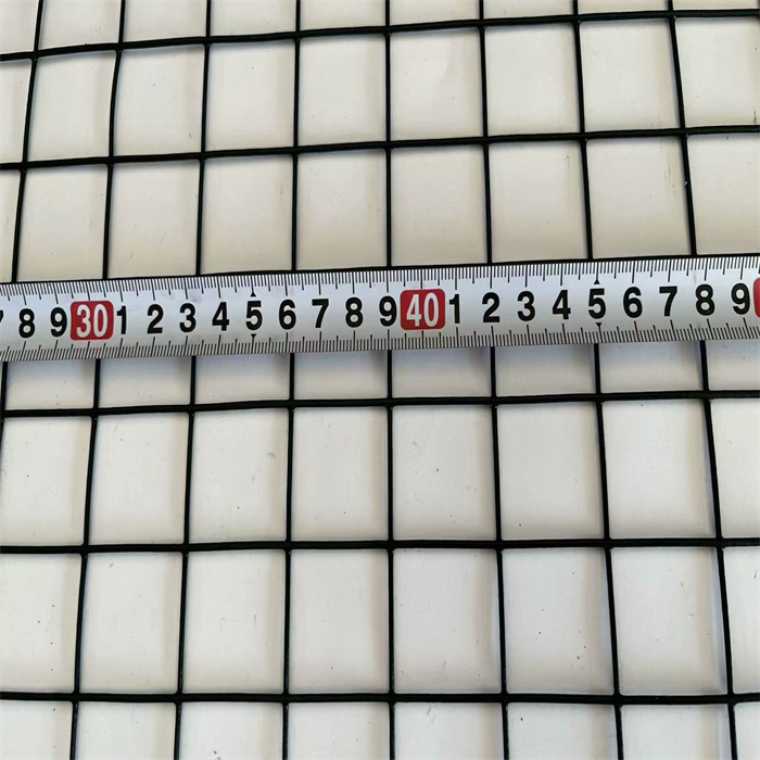 Hot Dipped Galvanized Welded Wire Mesh Panels with 50×50mm Mesh in 30m Roll for