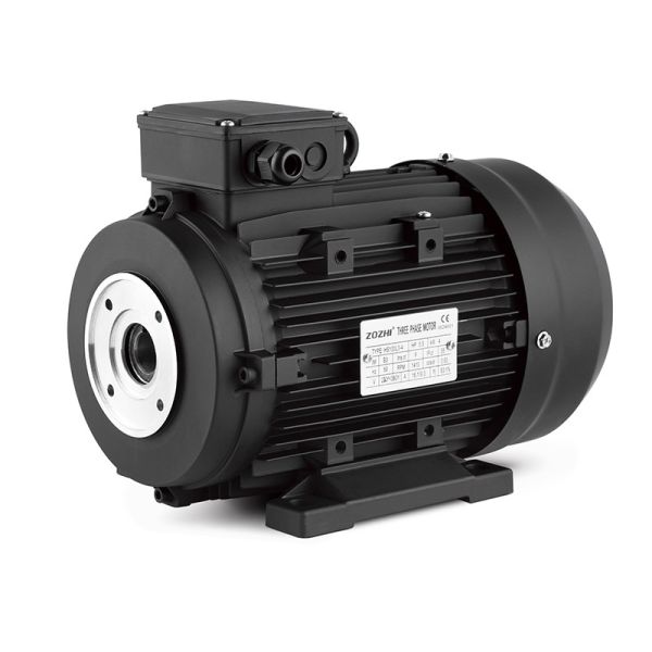 HIgh Quality Three Single Phase Ac Induction Hollow Shaft Motor For Pump