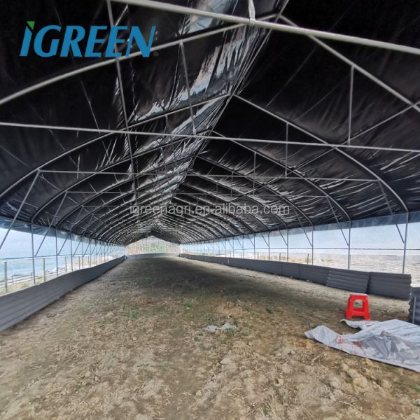 Steel Single-Span Small Greenhouse with PE Film Cover for Ducks or Chickens