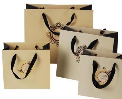 Fashion Clothing Paper Bags , OEM Paper Carry Bag Support Offset Printing