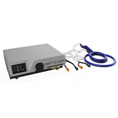 2024 Pemf Physio Magneto Therapy Physiotherapy PMST Loop Pro Pulsed Electro Magnetic Fields PEMF Therapy Device