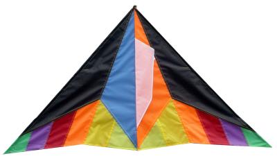 Papagaios de nylon personalizados da cor, crianças que jogam a escala do balanço 2-5bft do papagaio 264*132cm