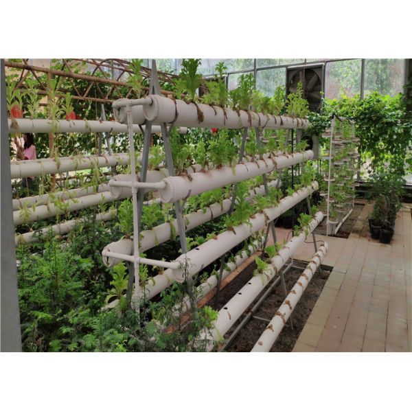 3 - 5m Gutter Height Hydroponic Greenhouse Great Heat Retaining Property
