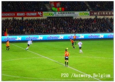 Large Sports Live Full Color LED Display Project , 6600CD / sqm Brightness P16 LED Screen
