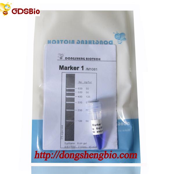 Escada M1081 do ADN do marcador 1 (50μg) /M1082 (50μg×5)