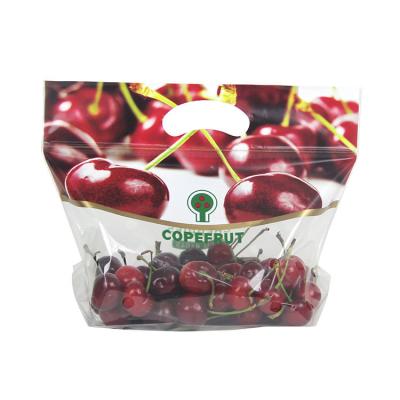 Sacos de empacotamento do empacotamento plástico das uvas das frutas e legumes da soldadura térmica do PE