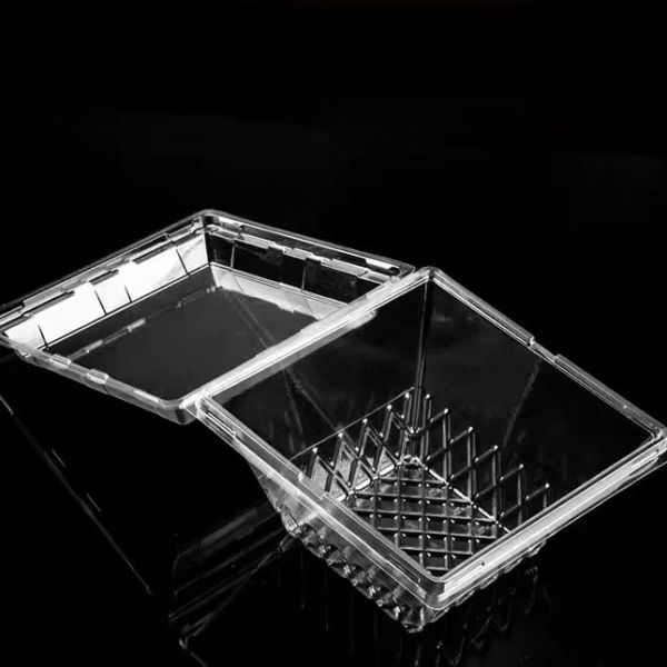 Encastrement à base d'herbes et de coquillages en plastique