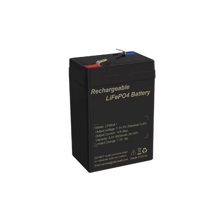 Deep Cycle Rechargeable AKKU Lithium Battery Pack 6V 6Ah Lifepo4 Battery for Toy RV Solar Marine With Type-C
