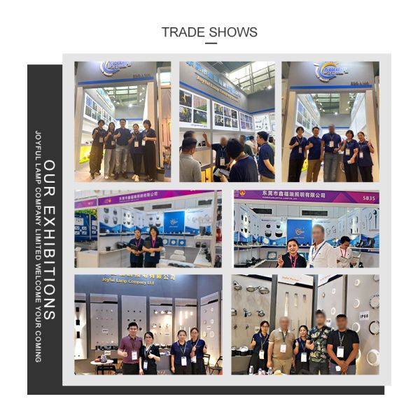 Светодиодный погребальный свет из нержавеющей стали 316 1w 2w 3w DC 24v с пластиковой задней коробкой для ландшафта