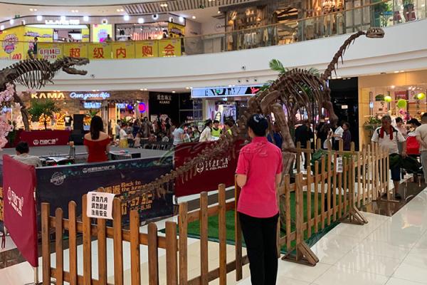 Esqueleto interno/exterior do dinossauro da exposição desossa réplicas com armação de aço