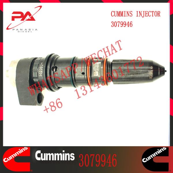 3079946 инжектор топлива 3079947 двигателя дизеля Cummins NT855 3081277 3087587 3087648