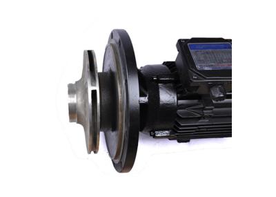 Cast Iron Water Circulation Pump For Spa Pool Equipment Easy Installation