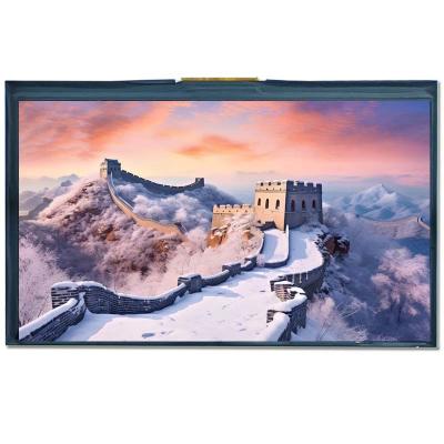 7.0 Inch Custom LCD Display 1024*600 Pixels Outdoor High Brightness Display