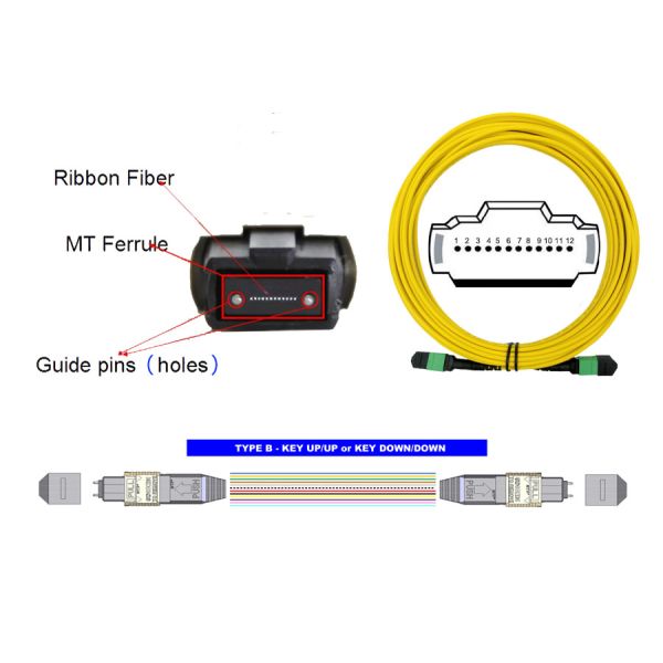 12 режим гибкого провода APC SM 20m MTP MPO ядра 9/125 одиночный LSZH женский к женщине