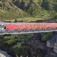 Painted Light Gray Steel Structure Bridge / Prefabricated Truss Pedestrian Bridge