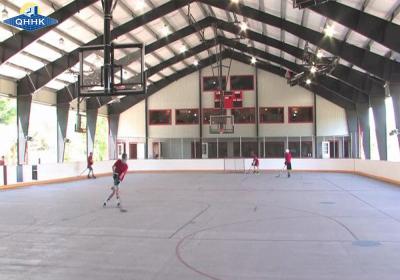 Contemporary Prefabricated Sports Building Aisi Astm Bs Din Gb Jis