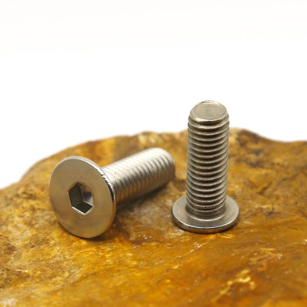 Customized stainless steel hex socket screws Allen Screw