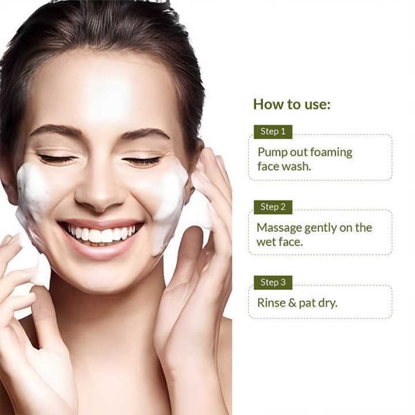 Customized Vegan Neem Tulsi Face Wash PH Balance Facial Cleansing Foam